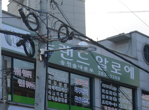 뉴랜드알로에