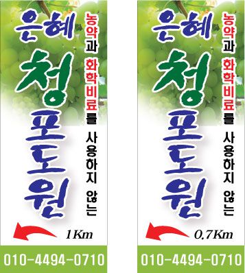 은혜청포도원